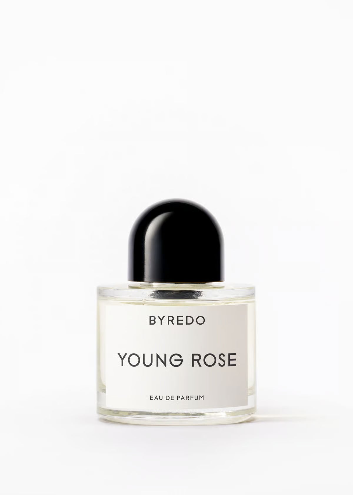 YOUNG ROSE