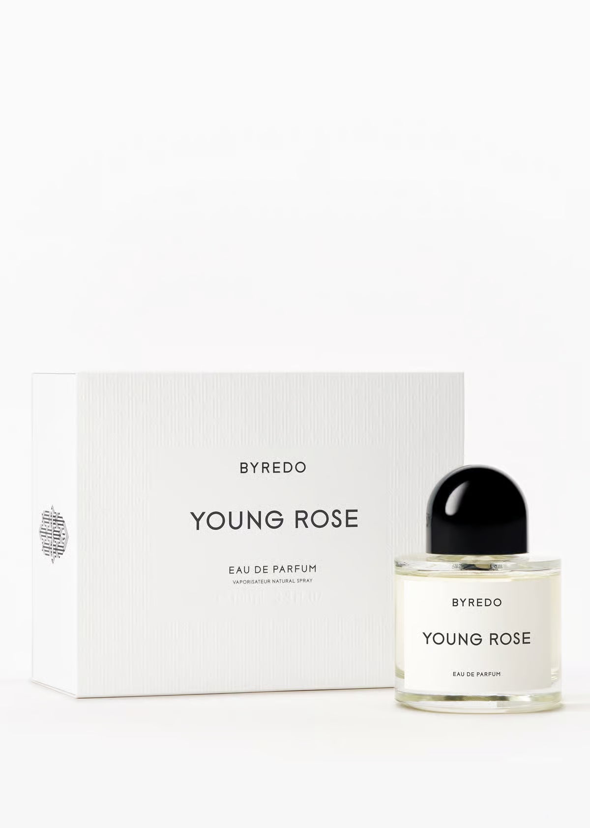 YOUNG ROSE