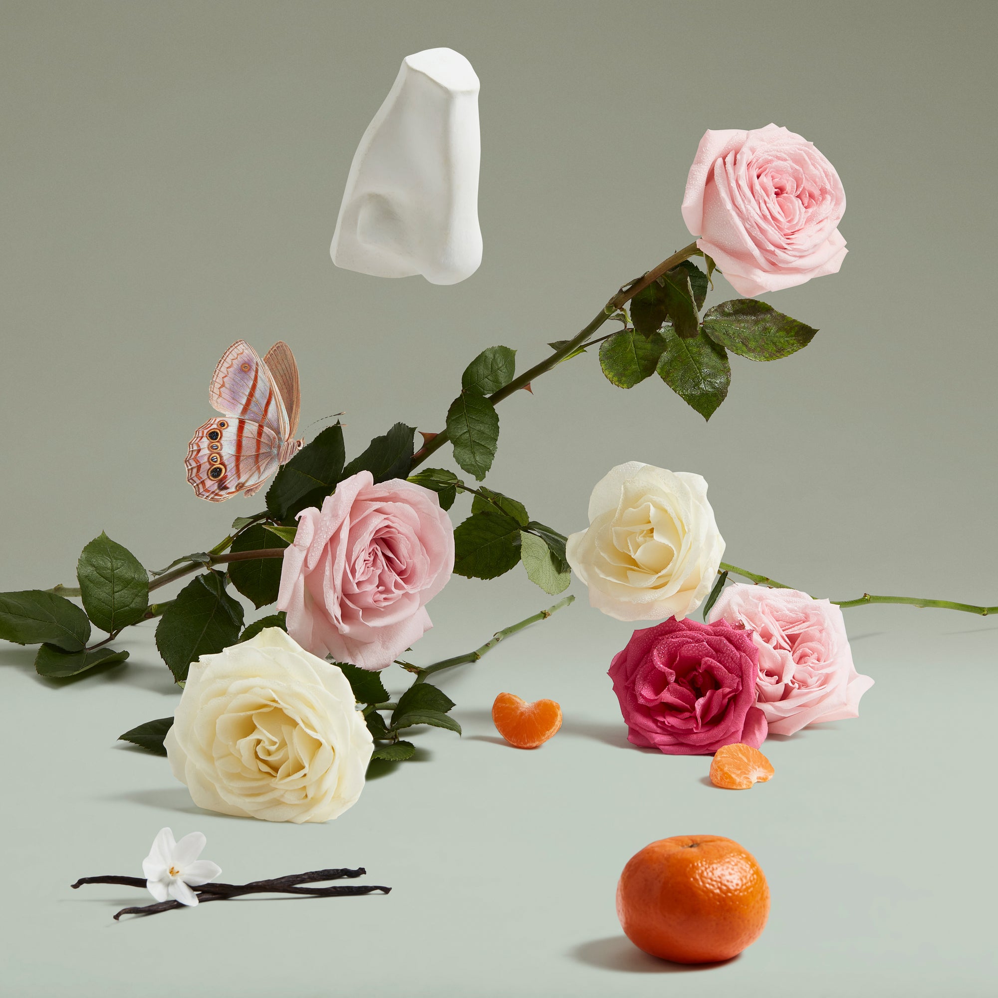 The Coveted Duchess Rose EDP 75ml