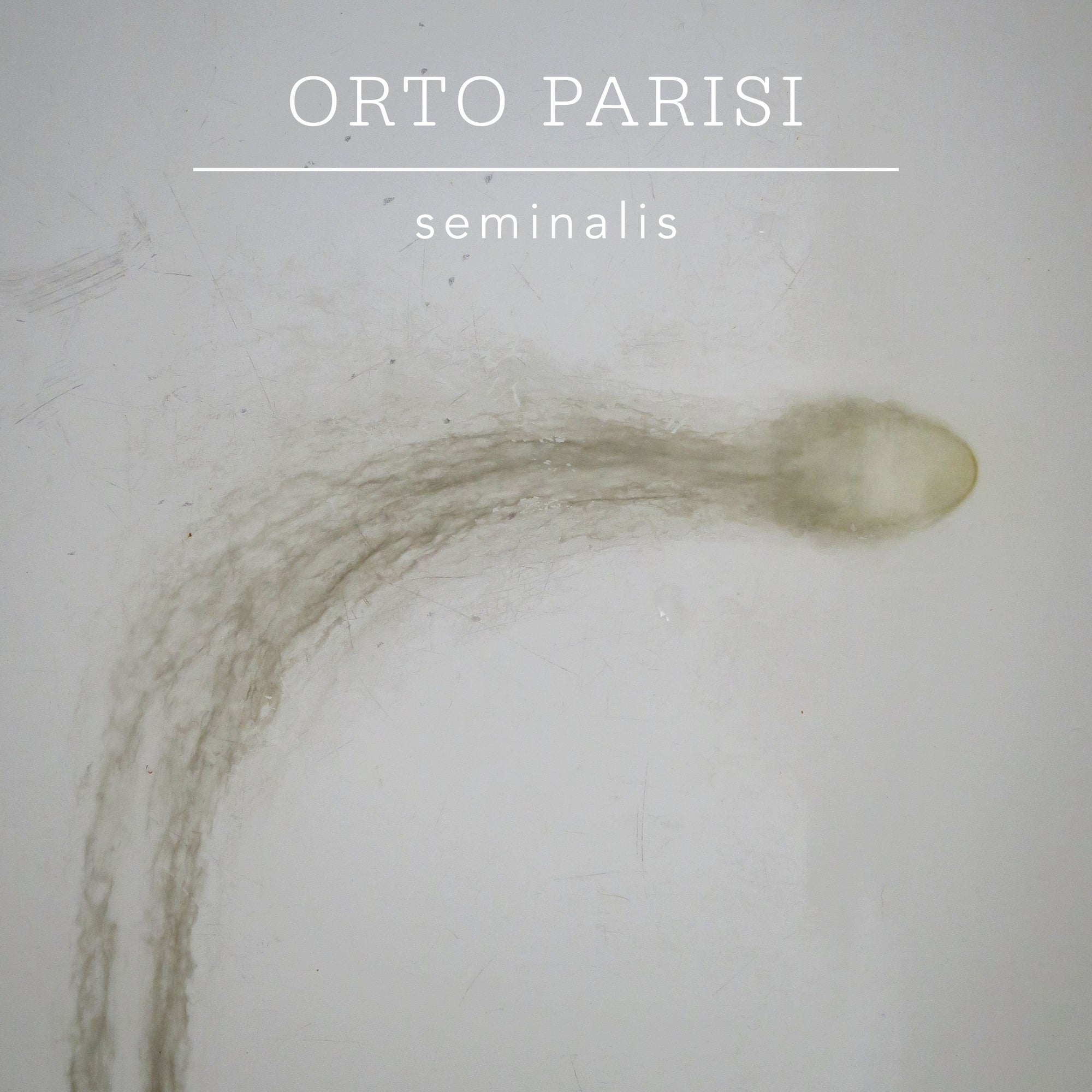 Seminalis 50 ml