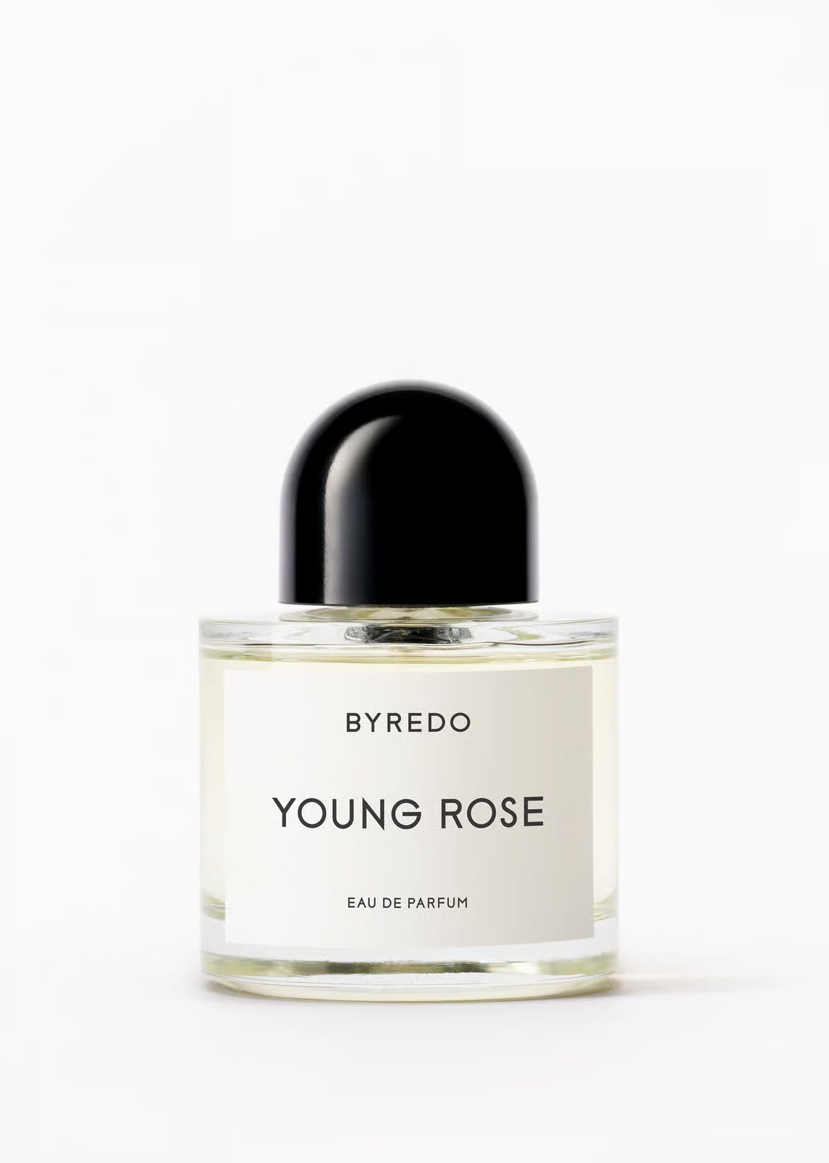 YOUNG ROSE