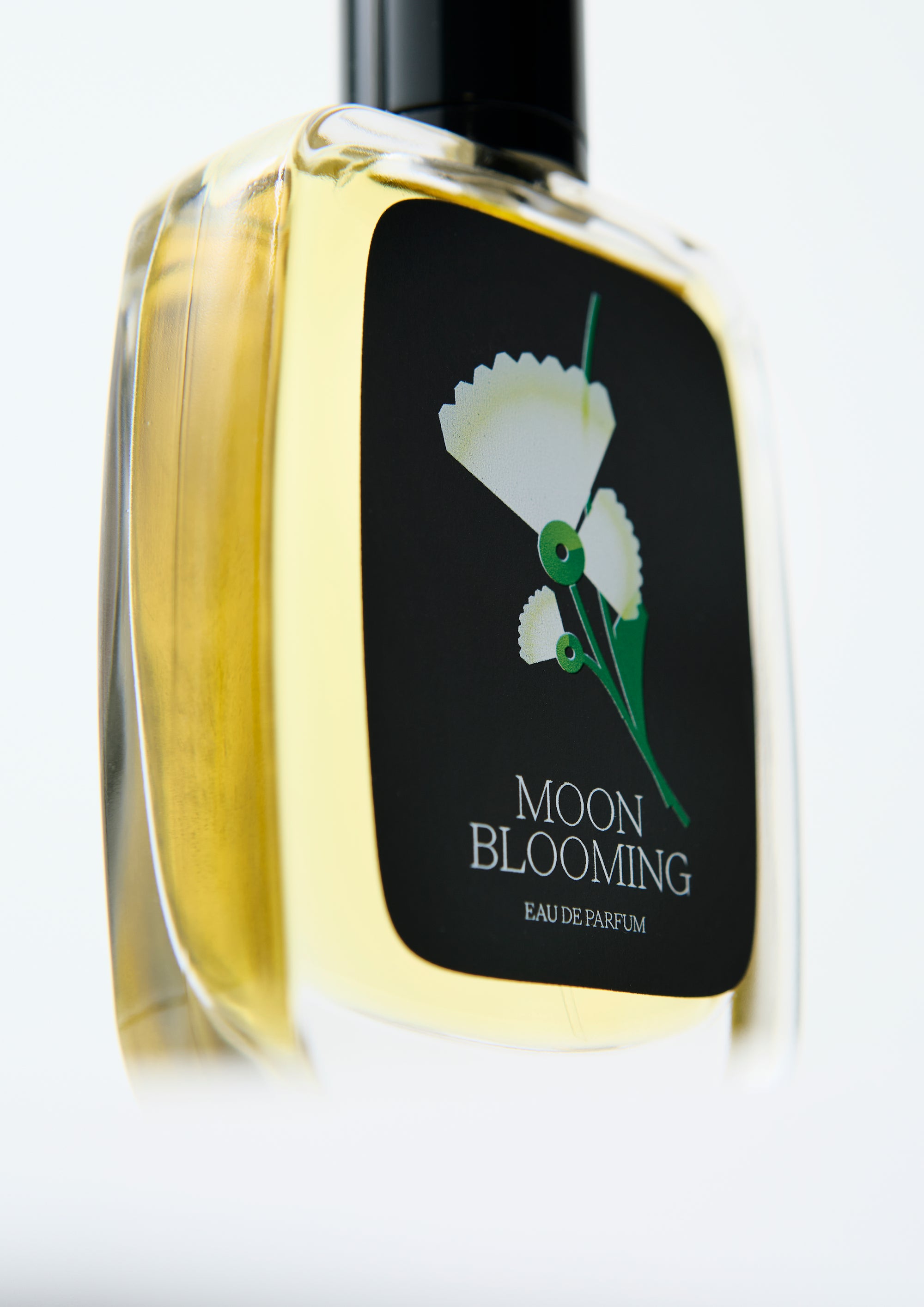 Moon Blooming