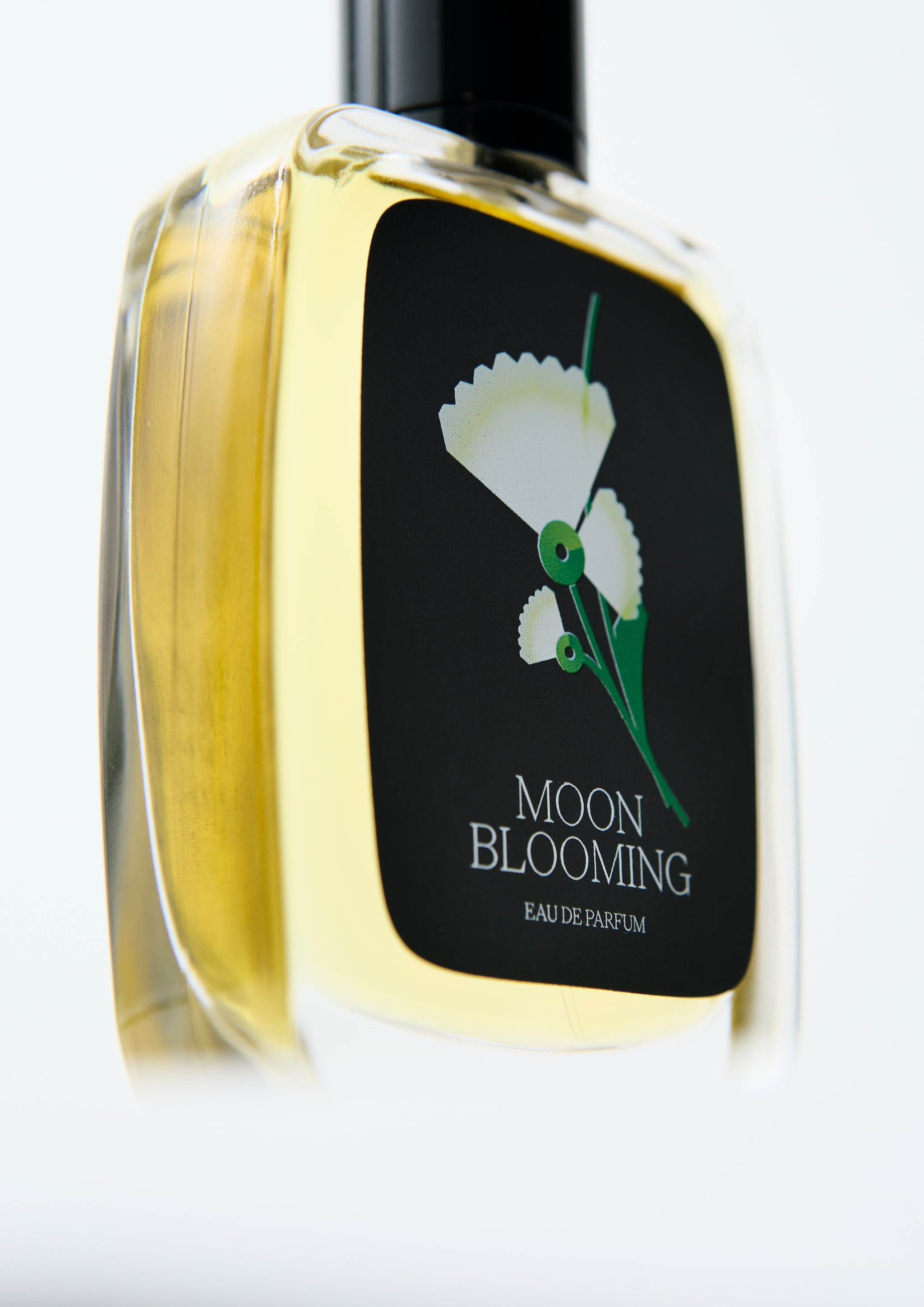 Moon Blooming