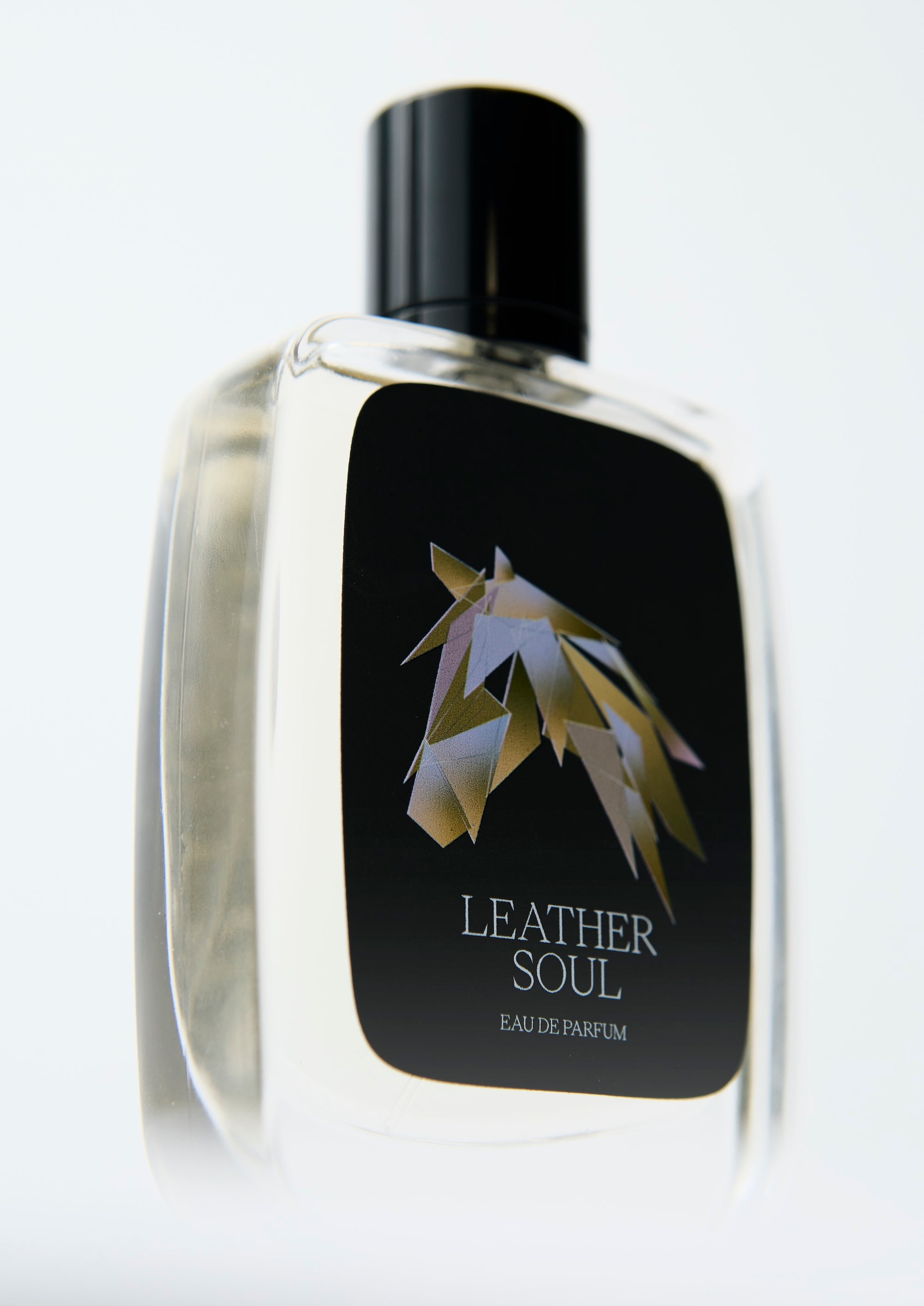 Leather Soul