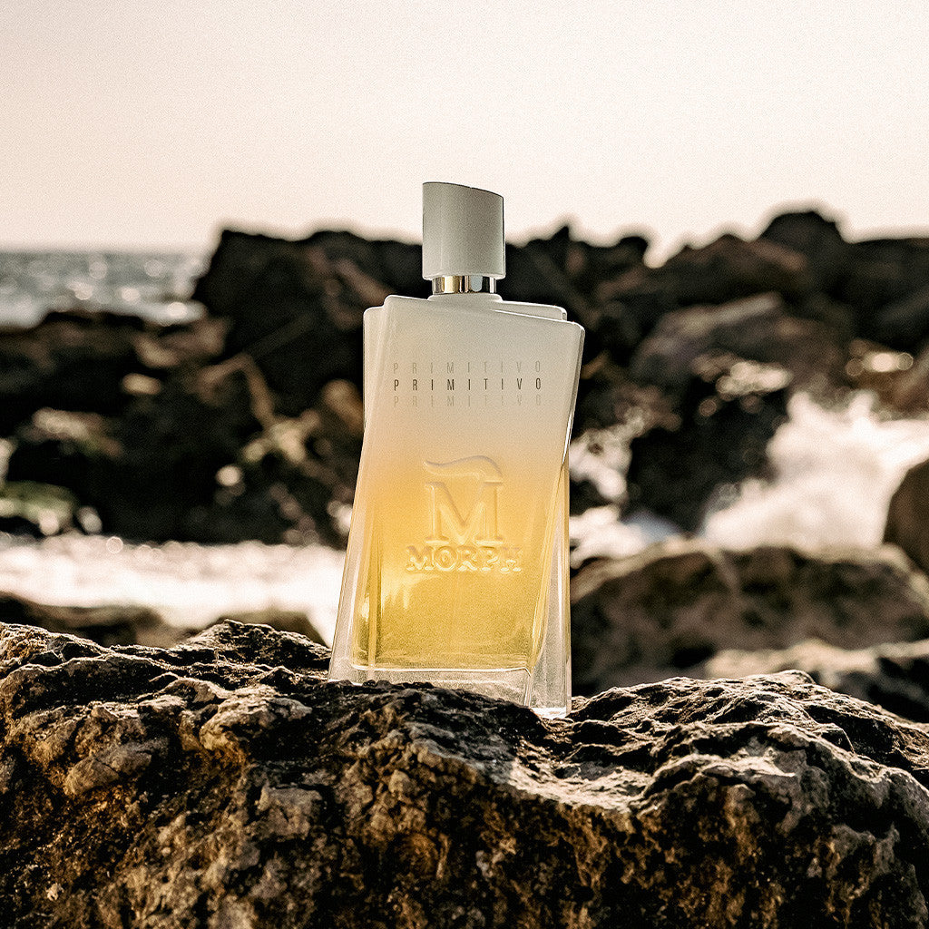 Primitivo EDP 100ml