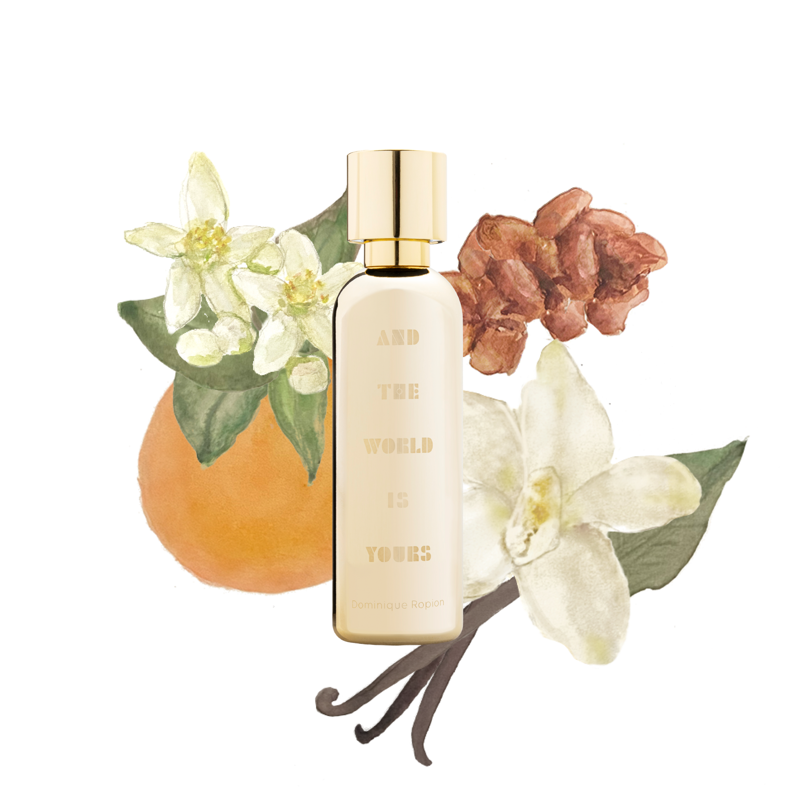 And The World Is Yours Extrait de Parfum
