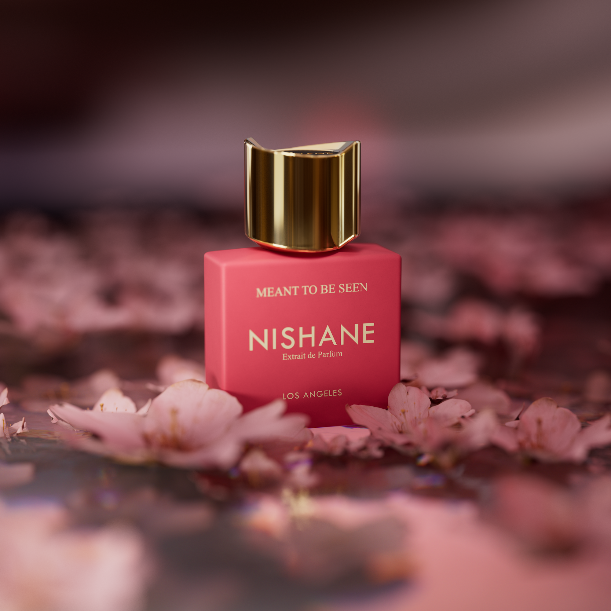 Meant To Be Seen Extrait de parfum 50ml