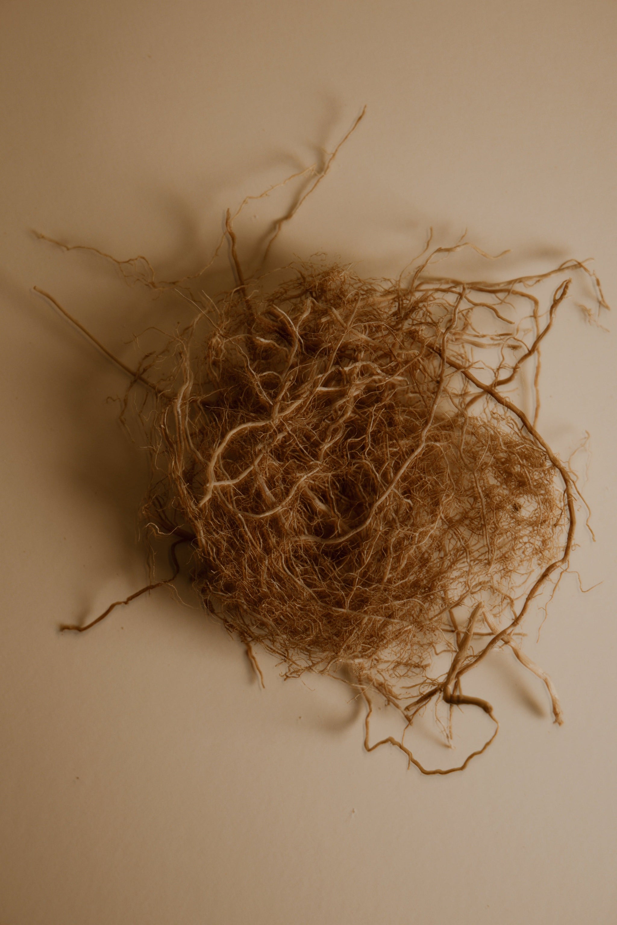 Debai Extrait de Parfum - Ingredient