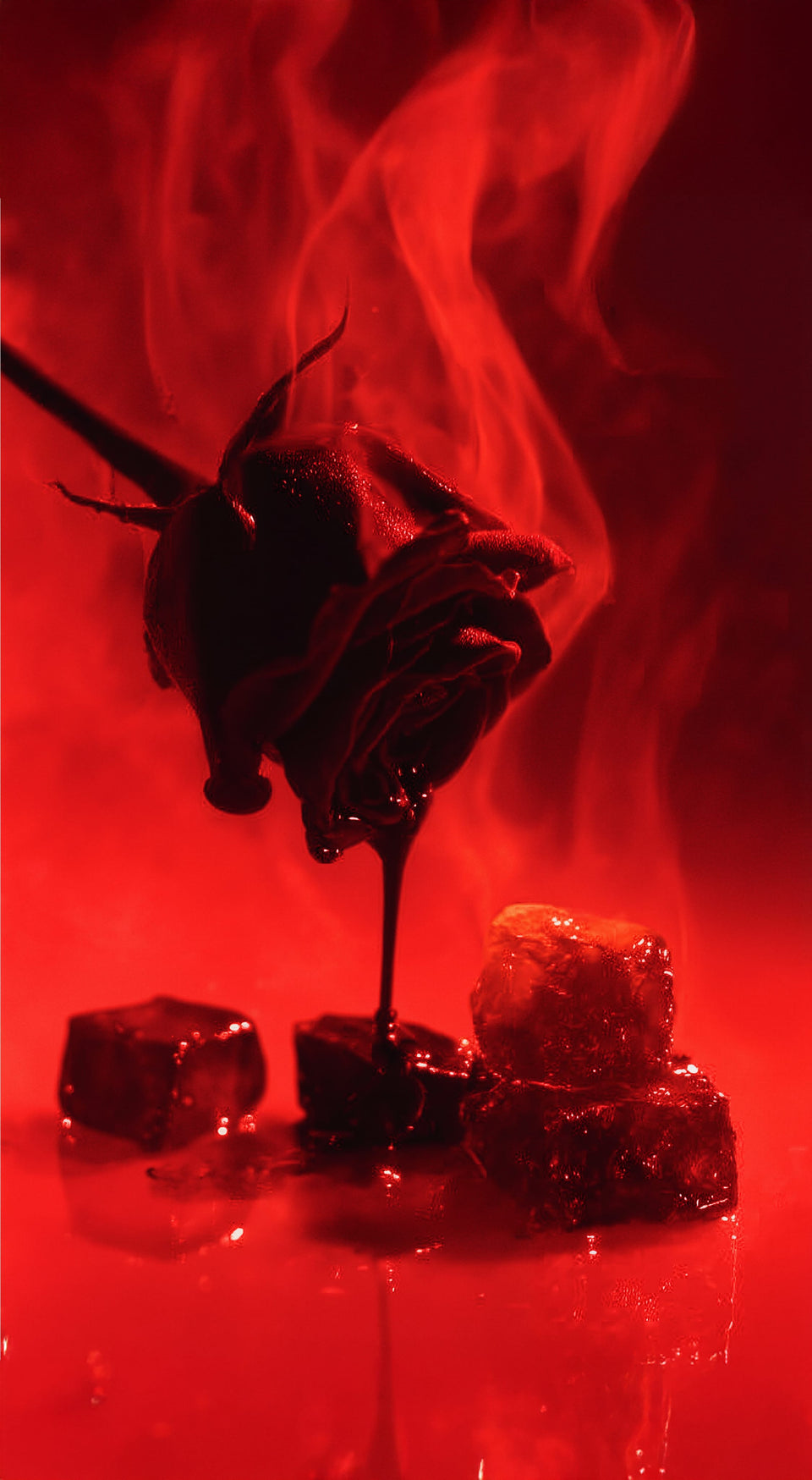 Ensang Noir Eau de Parfum