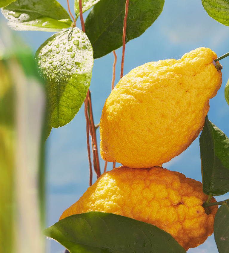 Limone Cedrato Fragranza Ambiente