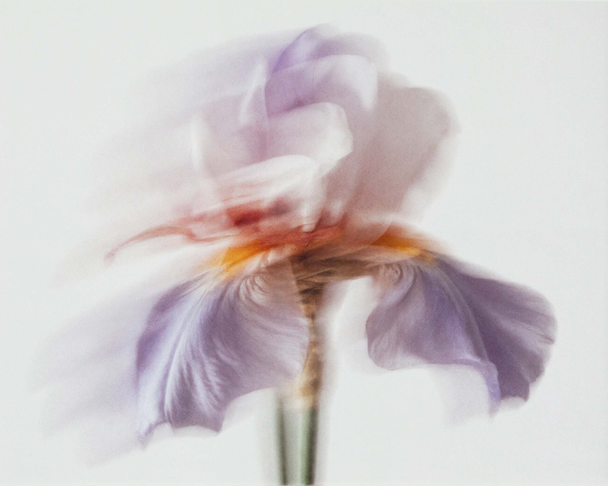 Blanc Sada Eau de Parfum