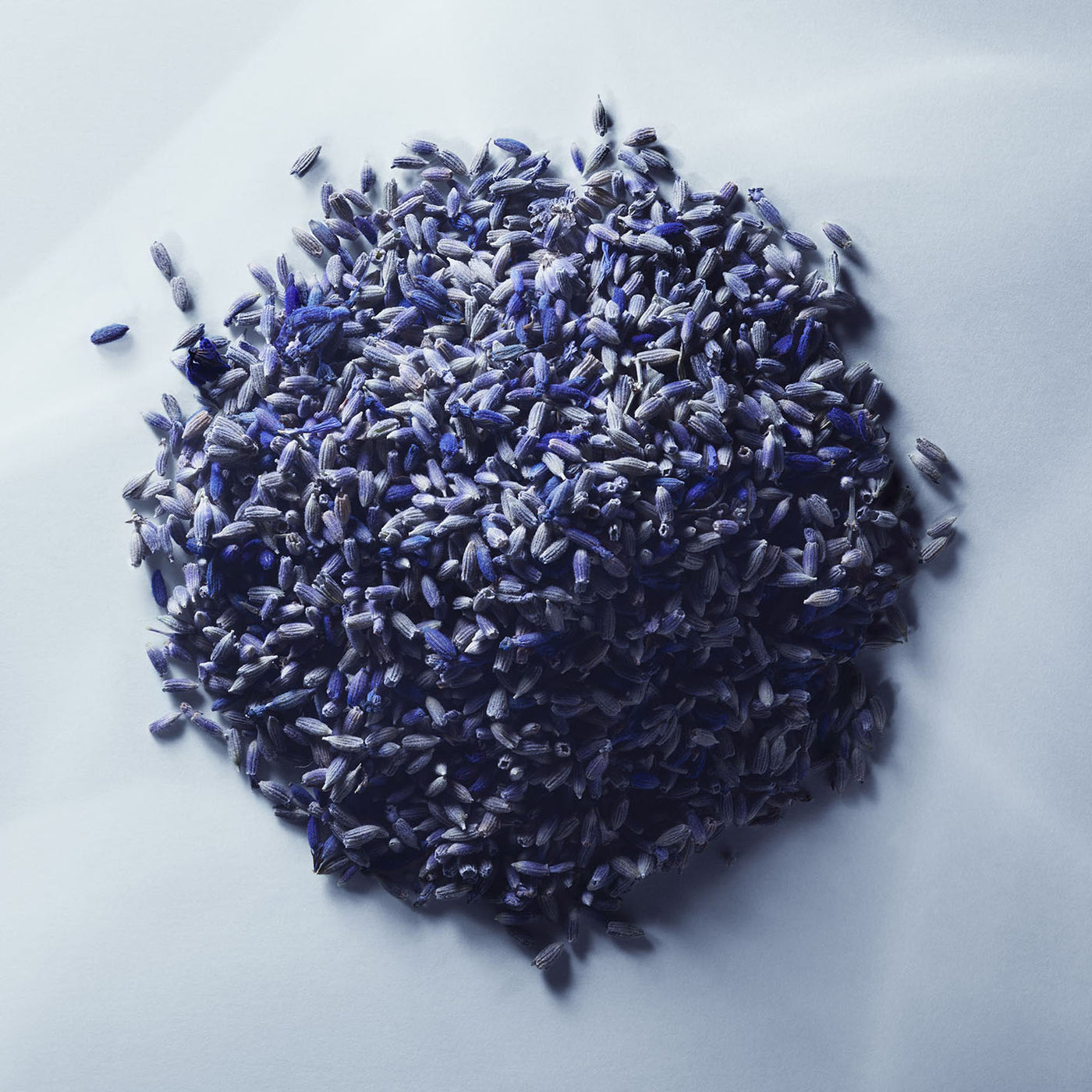 Metal Lavender Eau de parfum