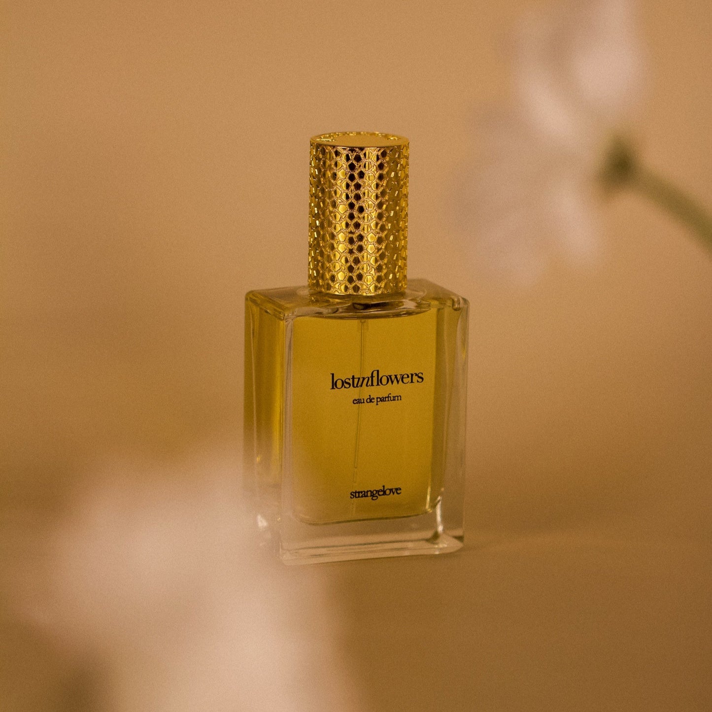 lostinflowers EDP 50ml