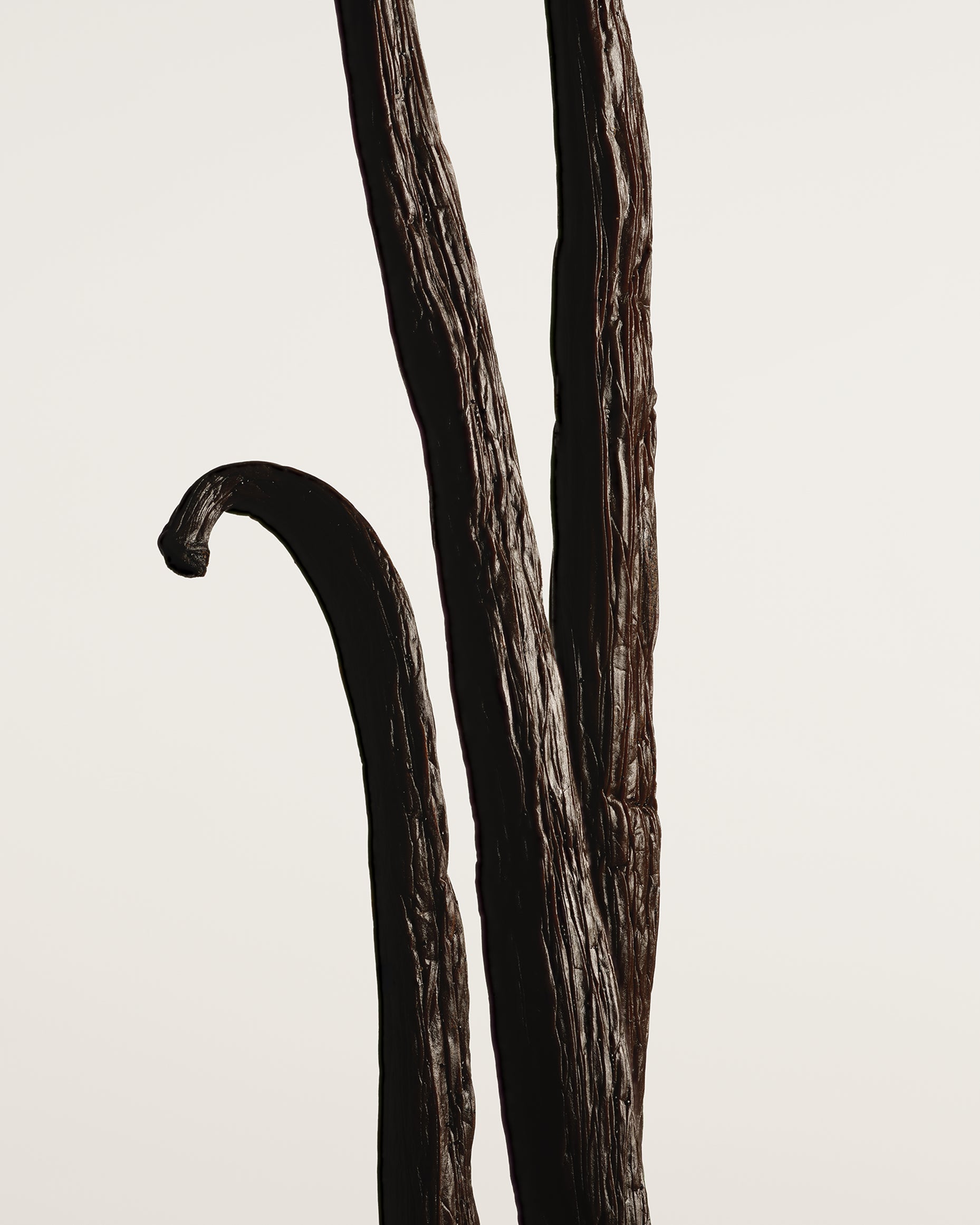 Vanilla Powder Extrait de parfum