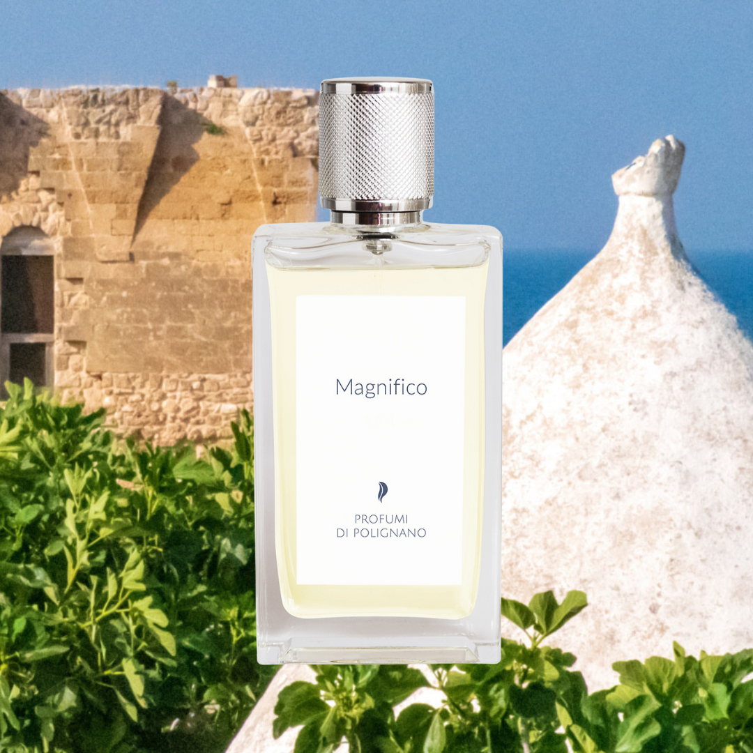 Magnifico EDP