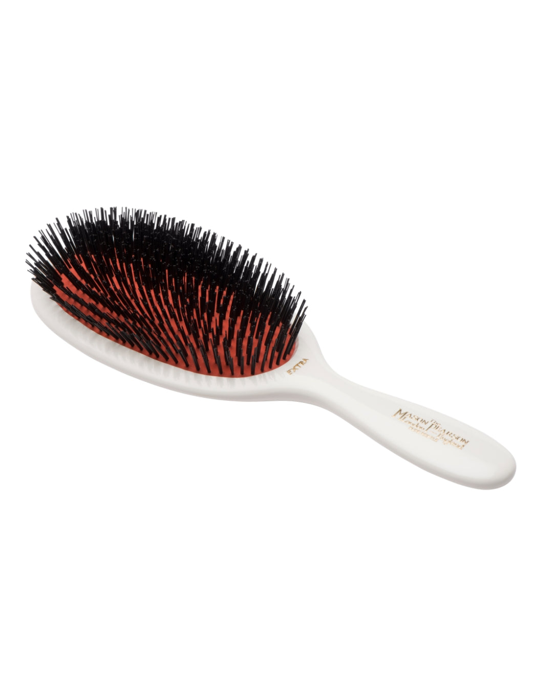 B1 Large Extra Bristle