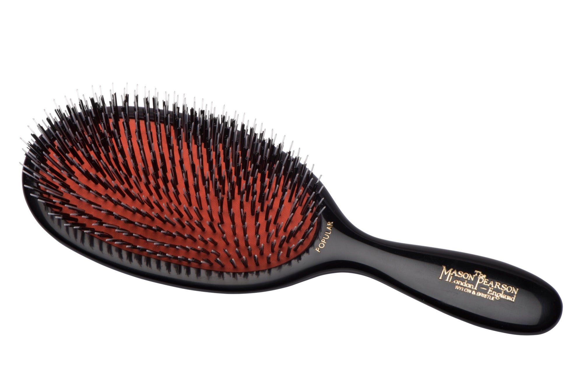 BN1 Popular Bristle & Nylon