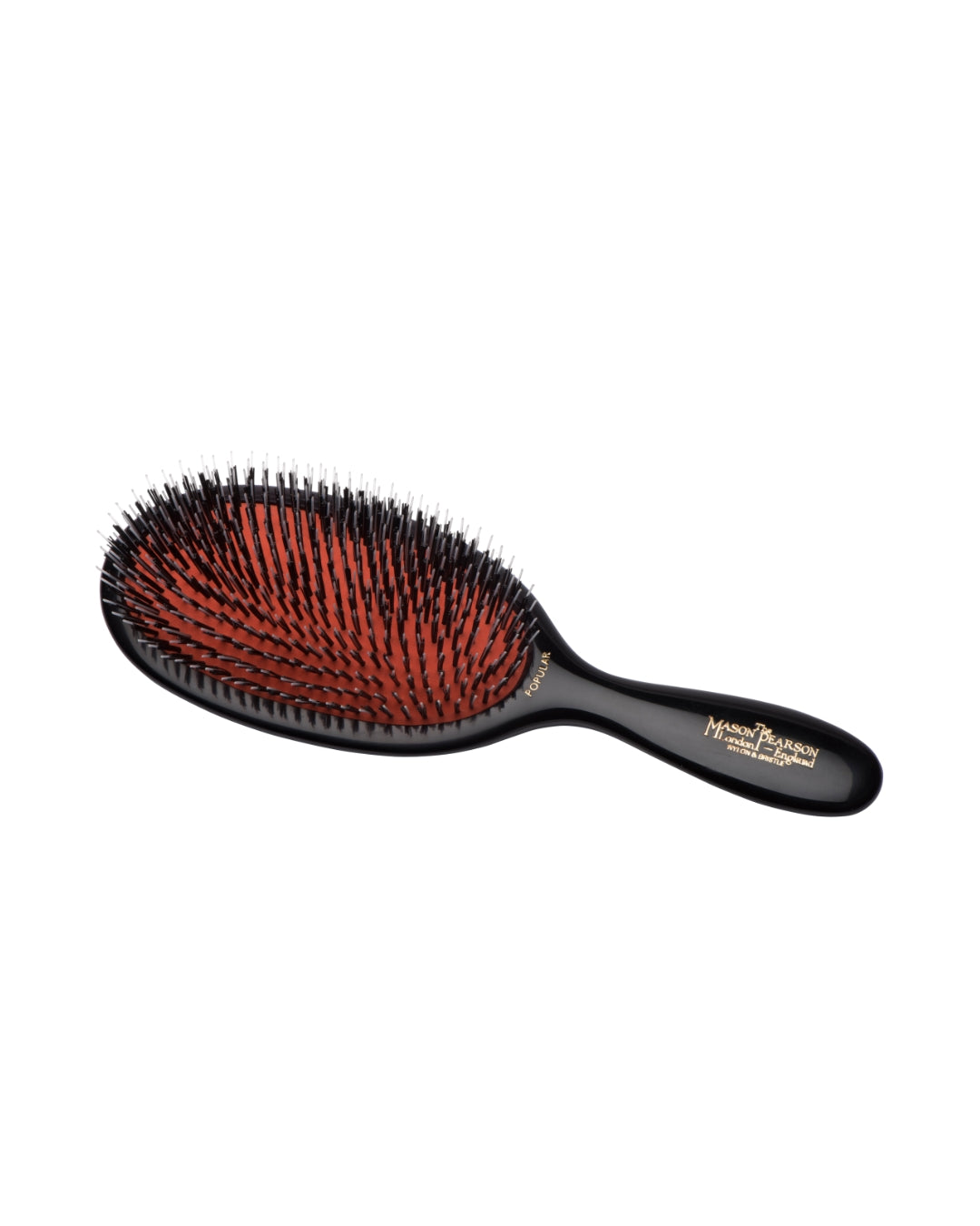 BN1 Popular Bristle & Nylon
