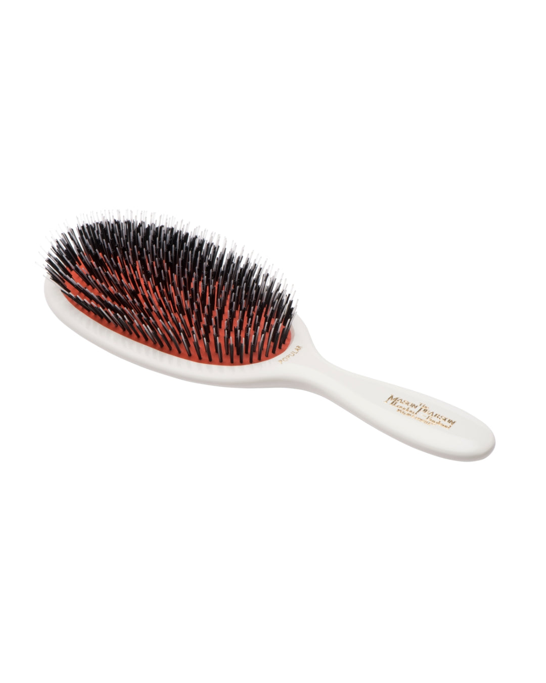 BN1 Popular Bristle & Nylon