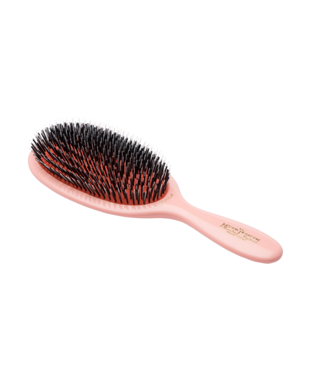 BN1 Popular Bristle & Nylon