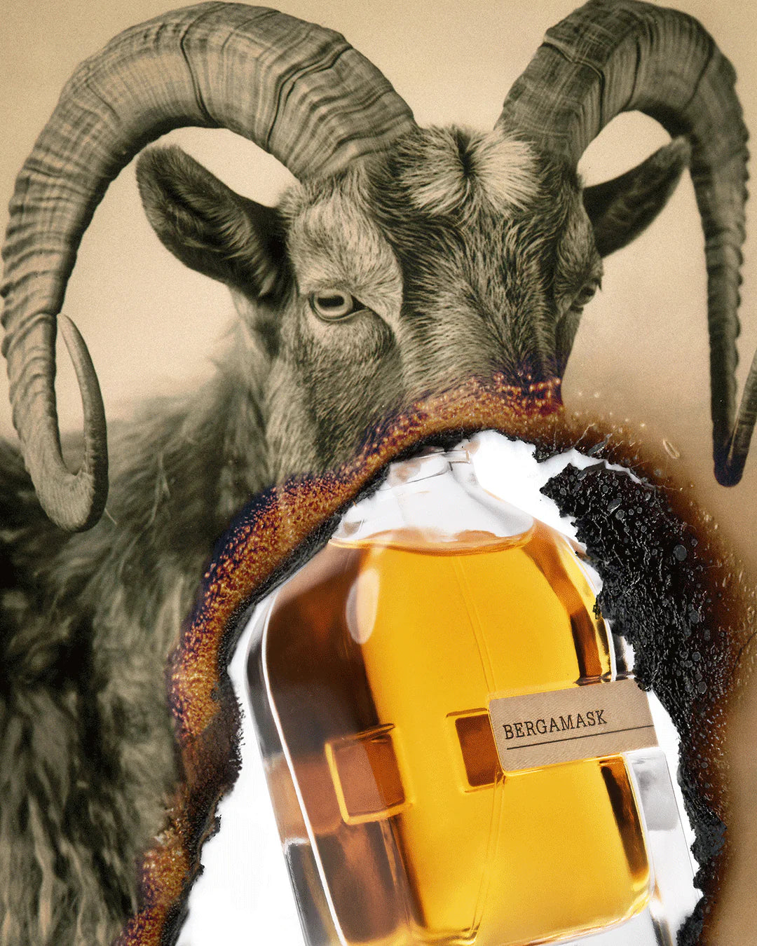 Bergamask 50 ml