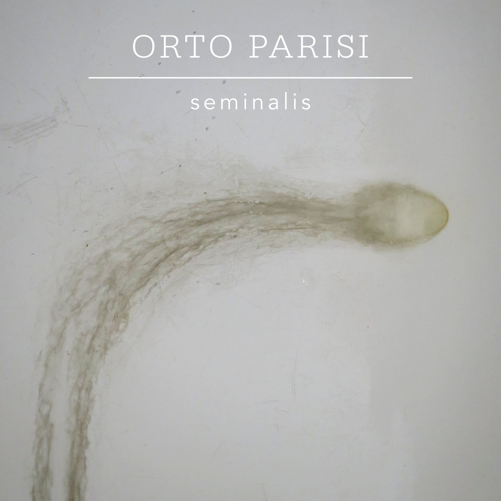 Seminalis 50 ml