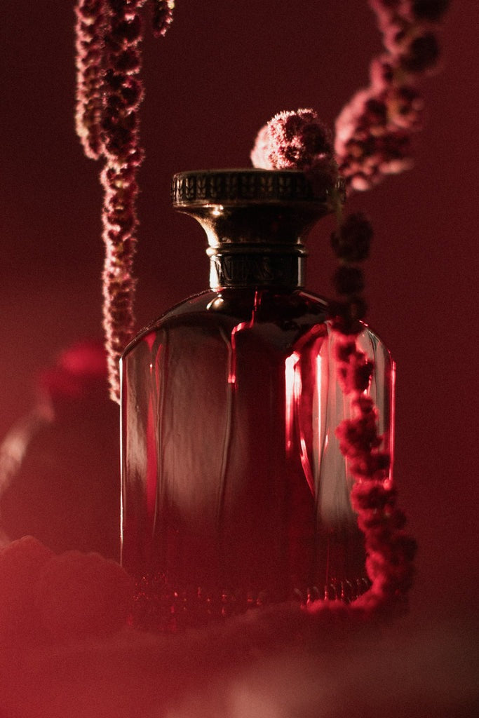 Shaouq Extrait de Parfum - 03