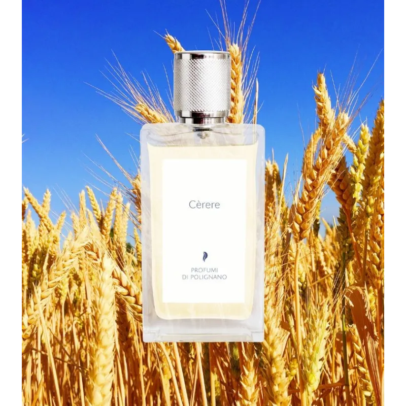 Cèrere EDP