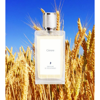 Cèrere EDP