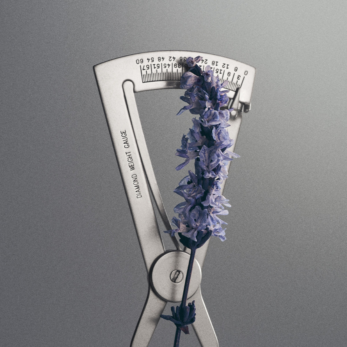 Iris Debonair Millesime Eau de Parfum