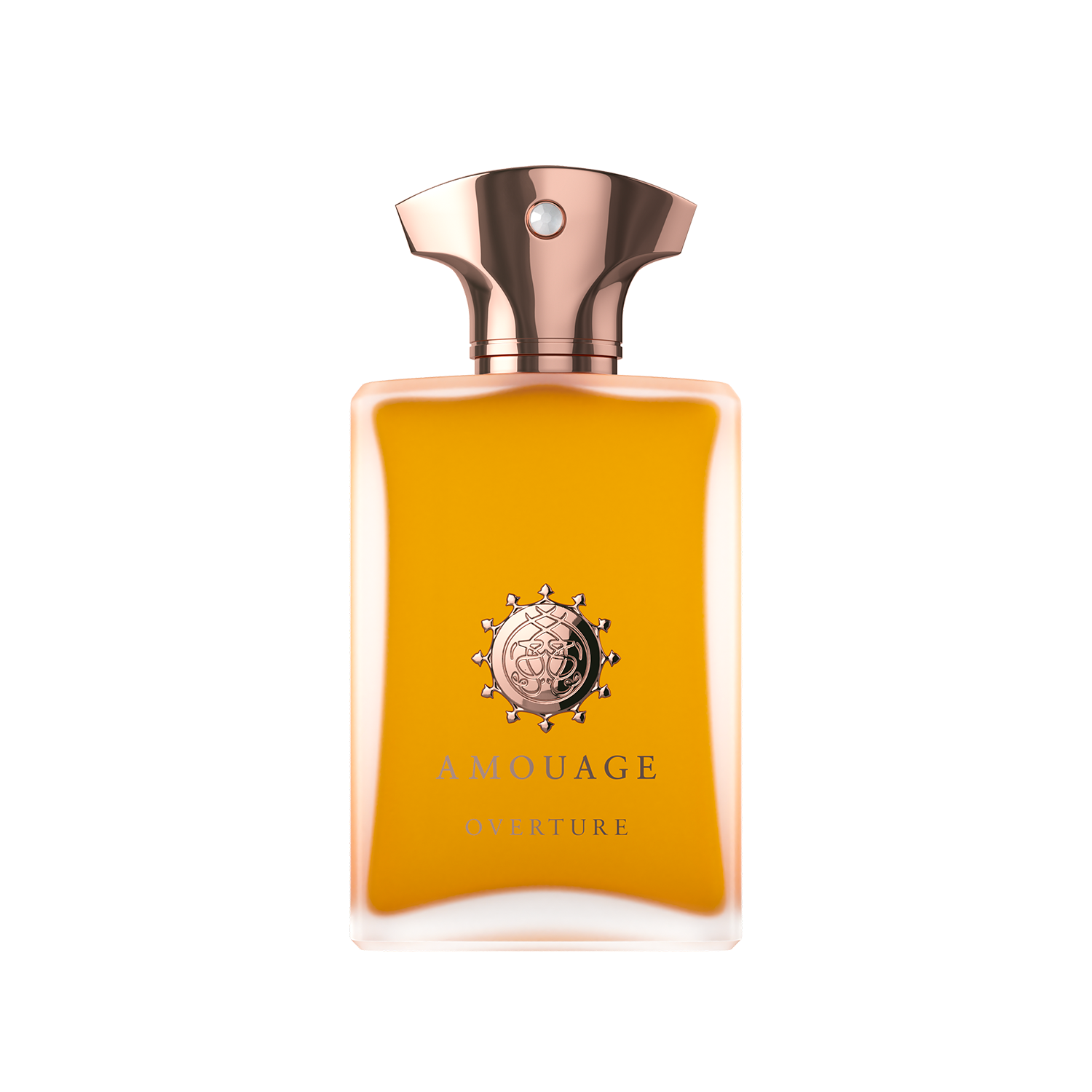 OVERTURE 100ml